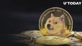 狗狗币 (DOGE) 社区揭穿了将数十亿资金置于风险之中的漏洞声明_DOGE:ECOIN