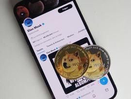 DigiToads预售中筹集了 245 万美元后成为狗狗币 的强大竞争对手_TOA:DIG