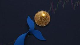 比特币、以太坊技术分析进入周末BTC触及31,000美元上方一年高点_AVA:比特币