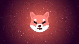 SHIB 的年初收益在三个月内回落，回到之前的低点_SHI:Queen of Shiba