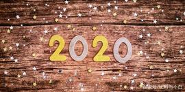 2020 年，你不可不知的七件区块链和加密货币世界大事_区块链:POL
