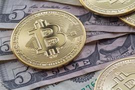 币圈早报：比特币跌破6600美元，减半前走势如何选择？_LAYER:coinbase