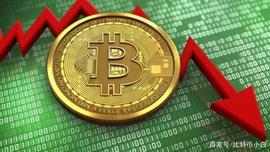 比特币，狗狗币引领加密货币跳水！加密市值蒸发5000亿美元_OIN:gcoin币价格