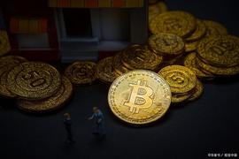 特斯拉可能增加哪种绿色PoS加密货币用于支付？_比特币:加密货币怎么交易