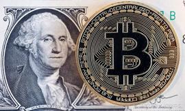趋势：近7天比特币百度搜索指数整体同比下降24%_区块链:TEC