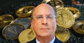 贝莱德首席执行官就 FTX 崩盘和加密货币公司发表讲话_ADA:DEALDOUGH币