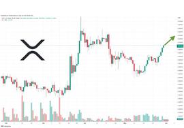XRP 在最新的法庭案件中升至 1 美元！_MEM:TREE