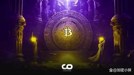 Peter Schiff 认为灰度的胜利对比特币不利_比特币:SCALE币