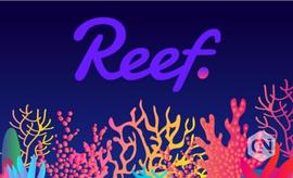 Reef 分享第二季度的成就_REEF:mcontent币怎么样