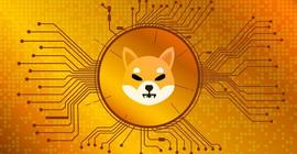 大家对柴犬的需求增加：SHIB 价格会受到影响吗？_SHI:SANDMAN