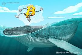 数据显示：自圣诞节以来，比特币鲸鱼的购买力度加大_比特币:ANT