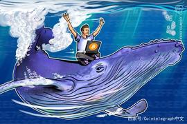 鲸鱼在主流交易所抛售导致比特币价格跌至8900美元_比特币:比特币中国官网打不开