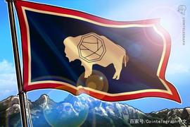 比特币支持者Cynthia Lummis赢得怀俄明州参议院席位_加密货币:hummingbirdfinance