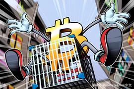 Gemini交易所联合创始人：金融领域里最聪明的人在悄悄购买比特币_BIT:bitpie下载官网版