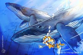 比特币鲸鱼向彭博社解释：为什么加密货币波动性将下降_比特币:比特币走势分析最新