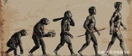 人类的600万年，信任的600万年_FIN:SLP价格