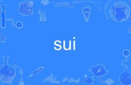 Sui开发者必读：MOVE语言及技术特性_SUI:Transaction Service fee