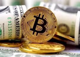 挣币还是挣钱 是一个严肃的投资策略_YIELD:All Coins Yield Capital