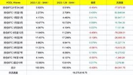 脱水大字报：小牛顶或仍未到来（1.31）_DEFI:defi币有哪些