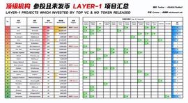 脱水专题：Layer1 什么值得撸？_LAYER:Pepe Slayer