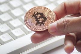 在稳定性和波动性之间。稳定币在牛市期间如何运作？_稳定币:HOLDEX
