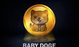Baby Doge 团队暗示秘密人工智能项目，代币上涨 3%_人工智能:ABY