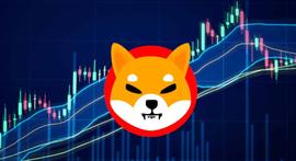 Shiba Inu 烧伤率飙升 500%；价格飙升 12%_SHIB:SHIBA