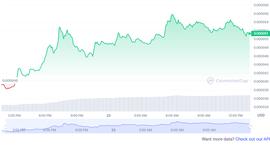 FLOKI 价格飙升 30%；发生了什么？_FLOKI:Baby Floki CEO