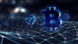 就在：FTX 上萨尔瓦多加密货币控股背后的真相_NFT:FTX