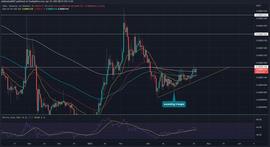 SHIB 价格预测：柴犬价格可能上涨 20%；今天买吗？_SHI:Paris Inu-ton
