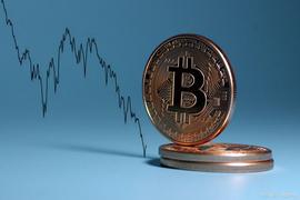 Cathie Wood 的 Ark Invest 购买 Coinbase 和 Tesla股票_OIN:COIN