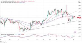 XRP 价格低于 0.5 美元：尽管价格低迷，是时候增持 XRP 了吗？_XRP:SEC