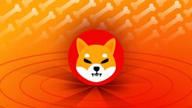 SHIB 销毁率在价格暴跌中飙升 260%；下一步是什么？_SHI:TUSHI币