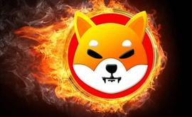 柴犬消息：3.3 万亿 SHIB 超前元宇宙 Showcase 邀请_FTX:AVERSE