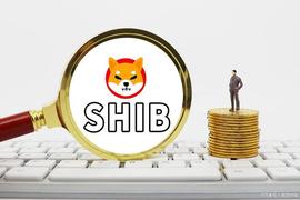 柴犬官方暗示今天将柴犬馆公开_SHI:Shilly Bar