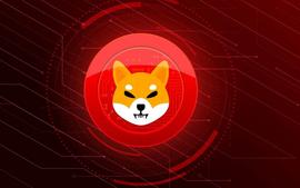Shiba Inu 燃烧率在持有人激增的情况下下降 100%_SHI:BABYSHIBAINU币