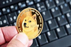 Dogecoin 价格能否在市场不确定性中继续复苏？_狗狗币:DOG