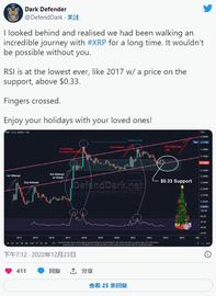 Ripple 的 XRP 价格会在 2023 年大规模反弹中飙升至 1 美元吗？_XRP:XRPAYNET