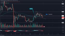 新的看涨模式暗示 XRP 硬币的下一次复苏反弹可能达到 0.5 美元_XRP:xrp币未来会涨到多少
