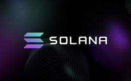 随着代币见证看跌势头，Solana 的下一步是什么？_SOL:solana币最新消息