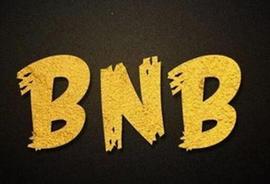 币安将在 BNB 智能链 (BSC) 上销毁价值 20 亿美元的闲置 BUSD_USD:ANC