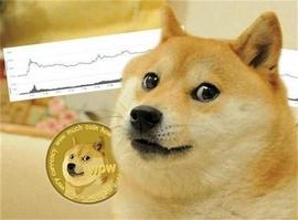 Crypto 的顶级 Meme 硬币是怎么回事？今年能到哪？_ADA:Mr. Bigglesworth