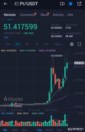 Pi官方举办黑客马拉松会议后，火币上的Pi价格就上涨了！高达80%！_HISWAP:YEAP币