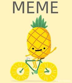 突破1000美元，MEME成为DeFi新霸主！_MEM:Uniswap