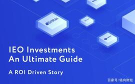 IEO终极投资指南：现状和趋势_1INCH:ROIMA INC Token