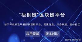 央企区块链项目梧桐链成功落地_区块链:联盟链