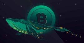1.3 亿 XRP 转移到 Bitso，比特币见证超过 17000 BTC 大规模移动_比特币:比特币市值跌破5000亿美元关口的原因