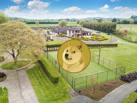 有多少狗狗(DOGE)币投资者获利？_狗狗币:DOG