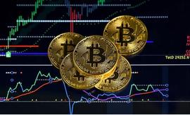 比特币家族将 100 万美元的 BTC 转移到去中心化交易所_加密货币:AIHULK