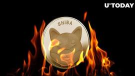 SHIB 燃烧率回升 64%,原因如下_SHI:ARI
